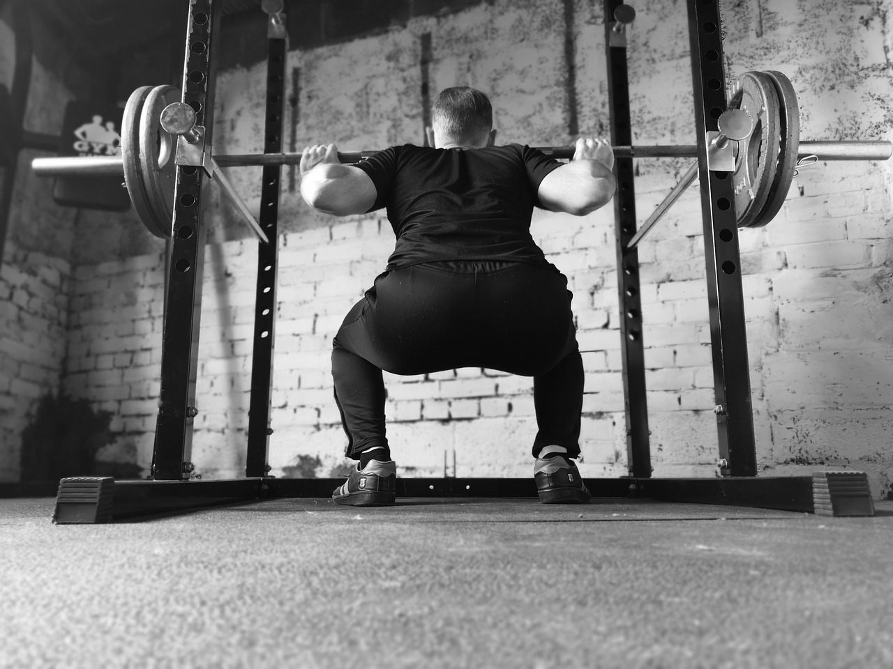 Revolt Premium Dumbbell Setup